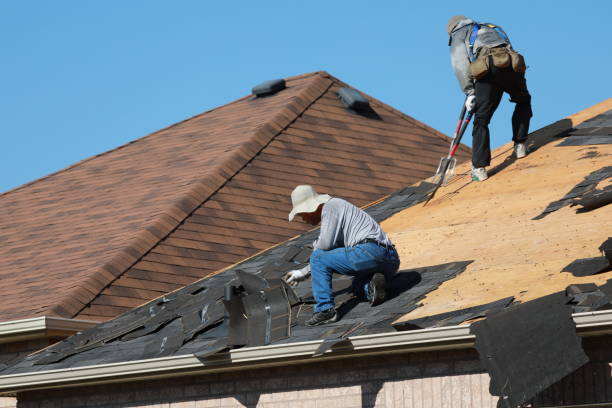 Best Gutter Installation and Repair  in Reedurban, OH